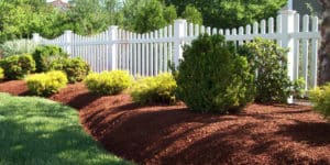 Residential Landscaping Louisville, KY