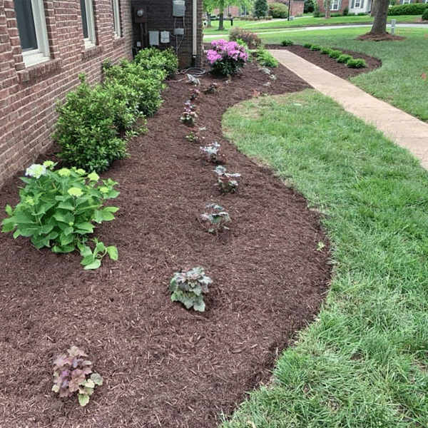Planting - Louisville, KY