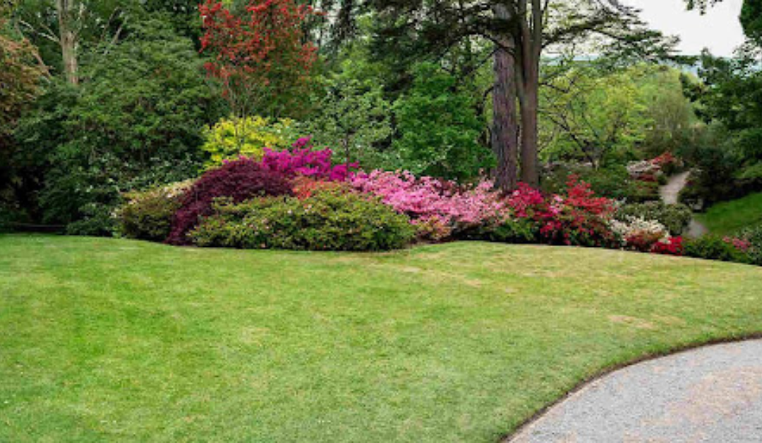 How To Landscape an Uneven Yard